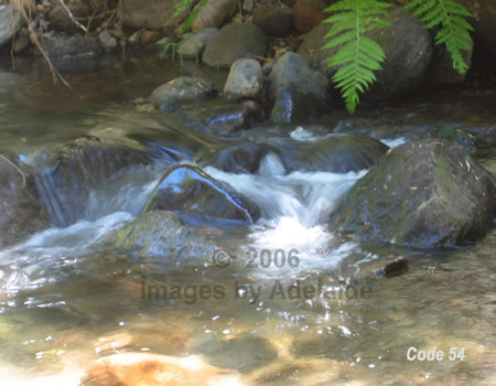 Bourland Creek